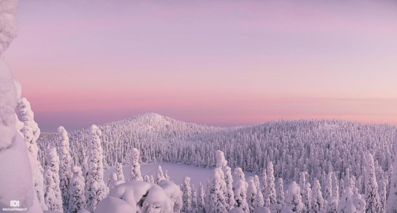 Hotelli Kultainen Joutsen Куусамо Экстерьер фото